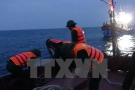 Ảnh minh họa. (Nguồn: TTXVN)