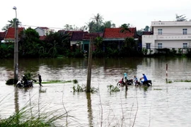 Cảnh ngập lụt ở Phú Yên. (Ảnh: Thế Lập/TTXVN)