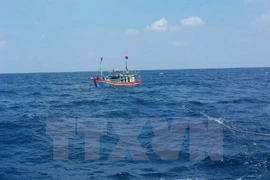 Ảnh minh họa. (Nguồn: TTXVN)