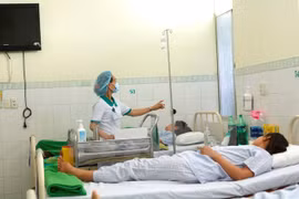 Ảnh minh họa. (Nguồn: TTXVN)