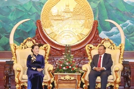Chủ tịch Quốc hội Nguyễn Thị Kim Ngân đến chào Tổng Bí thư, Chủ tịch nước Lào Bounnhang Vorachith. (Ảnh: Trọng Đức/TTXVN)