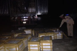 Lực lượng chức năng kiểm đếm số thực phẩm bẩn. (Ảnh: Trịnh Duy Hưng/TTXVN)