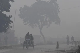 Khói mù ô nhiễm bao phủ New Delhi, Ấn Độ ngày 6/11. (Nguồn: AFP/TTXVN)