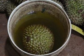 Ảnh minh họa. (Nguồn: TTXVN)