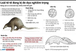 [Infographics] Loài động vật có vú bị buôn lậu nhiều nhất thế giới