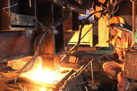 Ảnh minh họa. (Nguồn: TTXVN)