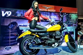 (Ảnh: Thế Anh/Vietnam+)