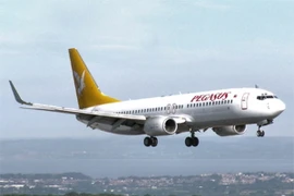 Hãng hàng không Pegasus Airlines sẽ hủy các chuyến bay cho tới ngày 13/1. (Ảnh: Reuters)