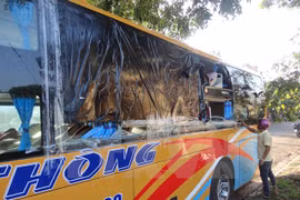 Ảnh minh họa. (Nguồn: TTXVN)