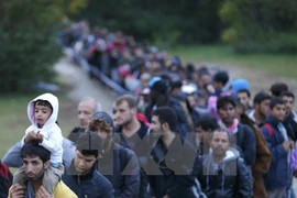 Người di cư vượt qua cửa khẩu biên giới tại Zakany, Hungary. (Nguồn: Reuters/TTXVN)