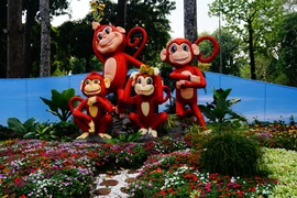 Khoảng 3.000 hiện vật từ các loại hoa kiểng, bonsai, đá cảnh được trưng bày tại hội hoa xuân Tao Đàn 2016. (Ảnh: Vietnam+)