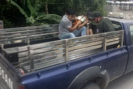 Ảnh minh họa. (Ảnh: TTXVN)