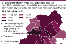 [Infographics] Nguyên nhân khiến Bỉ trở thành mục tiêu của IS