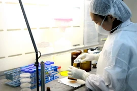 (Ảnh minh họa: TTXVN)