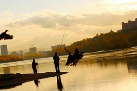 Hoàng hôn trên đảo Tatyshev. (Trần Hiếu/Vietnam+)