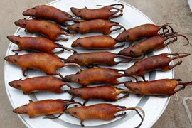 Sôi động chợ đặc sản chuột đồng "độc nhất vô nhị" ở miền Bắc