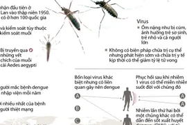 Khoảng 2,5 tỷ người có nguy cơ mắc sốt xuất huyết