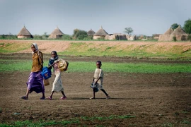 Trẻ em Nam Sudan trên đường đi lấy nước. (Ảnh: UNICEF)