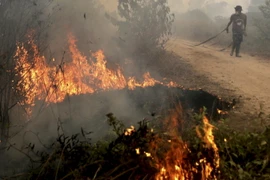 Binh sỹ Indonesia tham gia dập các đám cháy từng tại Ogan Ilir, tỉnh Nam Sumatra ngày 30/9. (Reuters/TTXVN)