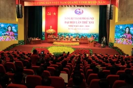 Khai mạc Hội nghị đại biểu Đảng bộ Ngoài nước nhiệm kỳ 2015-2020 