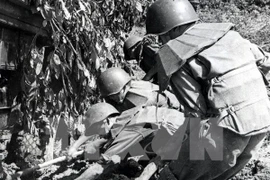 (Ảnh tư liệu TTXVN)