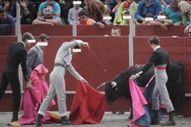 Đấu sỹ "máu lạnh" tuổi teen đâm chết bò tót một cách dã man