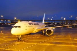 Ảnh minh họa. (Nguồn: TTXVN)