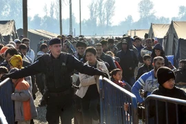 Dòng người di cư đổ về biên giới Croatia-Slovenia. (Ảnh: AFP)