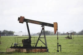 Một trạm bơm dầu ở Luling, bang Texas, Mỹ. (Ảnh: THX/TTXVN)
