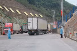Công tác kiểm dịch y tế tại cửa khẩu Tân Thanh (Lạng Sơn) được tuân thủ nghiêm ngặt. (Ảnh: Quang Duy/TTXVN)