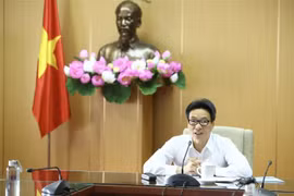Phó Thủ tướng Vũ Đức Đam, Trưởng Ban chỉ đạo phát biểu. (Ảnh: Minh Quyết/TTXVN)