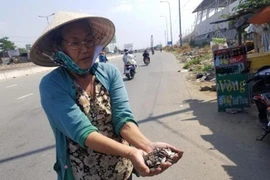 Trừng trị nghiêm khắc các đối tượng rải đinh trên đường