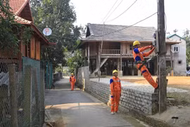 Công nhân Công ty Điện lực Hòa Bình (Tổng Công ty Điện lực miền Bắc) cải tạo lưới điện nông thôn huyện Mai Châu. (Ảnh: Ngọc Hà/TTXVN)