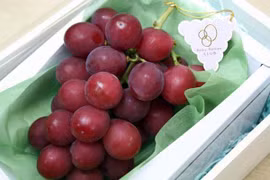 Chùm nho Ruby Roman. (Nguồn: odditycentral.com)