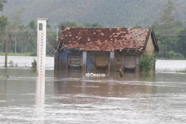 Nước lũ đang dâng cao tại nhiều nơi. (Ảnh: Phạm Cường/TTXVN)