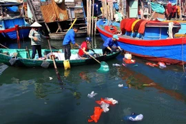 Thu gom rác thải nhựa trên vùng biển xóm Nhà Rầm, phường Hải Cảng, thành phố Quy Nhơn, tỉnh Bình Định. (Ảnh: Nguyên Linh/TTXVN)