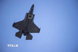 Máy bay chiến đấu F-35 trình diễn tại Washington, DC, Mỹ. (Ảnh: AFP/TTXVN)