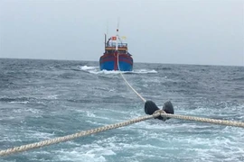 Thuyền cá gặp nạn được kéo vào bờ. (Ảnh: TTXVN phát)