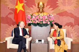 Chủ tịch Quốc hội Nguyễn Thị Kim Ngân tiếp Đoàn Ủy ban Thương mại Quốc tế của Nghị viện châu Âu (EP), do ông Bernd Lange, Chủ tịch Ủy ban làm trưởng đoàn. (Ảnh: Trọng Đức/TTXVN)