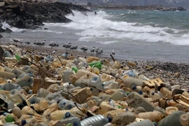 Rác thải nhựa trôi dạt vào bờ biển ở Ouzai, phía nam Beirut, Liban. (Ảnh: AFP/TTXVN)