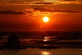 Bình minh trên Đầm Chuồn. (Ảnh: Hồ Cầu/TTXVN)