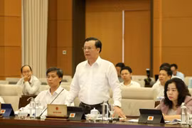 Bộ trưởng Bộ Tài chính Đinh Tiến Dũng phát biểu tại phiên họp. (Ảnh: Phương Hoa/TTXVN)