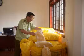 Cán bộ quản lý thị trường kiểm tra số chà bông bị thu giữ. (Ảnh: Ngọc Minh/TTXVN)