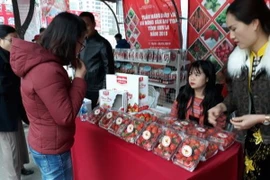 (Ảnh: Bích Hồng/BNEWS/TTXVN)