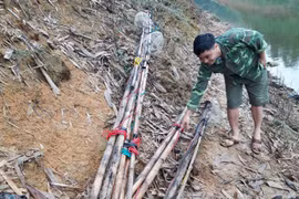 Dụng cụ đánh bắt cá của các ngư dân chủ yếu là xung điện. (Ảnh: Đức Tưởng/TTXVN)