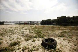 Bờ sông Po ở Linarolo, miền bắc Italy. (Nguồn: AFP)