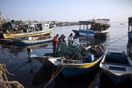 Ngư dân Palestine làm sạch lưới sau chuyến đi câu cá đêm, tại cảng biển Gaza. (Nguồn: AP)