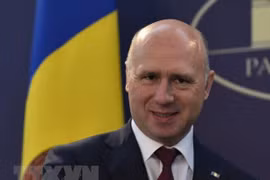 Thủ tướng Moldova Pavel Filip. (Nguồn: AFP/TTXVN)