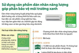 Sử dụng sản phẩm dán nhãn năng lượng để bảo vệ môi trường xanh