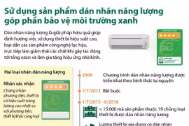 Sử dụng sản phẩm dán nhãn năng lượng để bảo vệ môi trường xanh